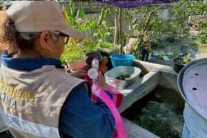 WhatsApp Image 2026-02-20 at 15.50.27