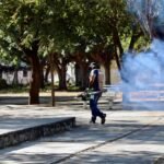 SS: Colima reporta cero casos de dengue y se posiciona entre los estados con menor incidencia