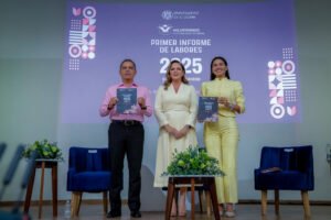 Primer Informe del Voluntariado, segundo periodo_f