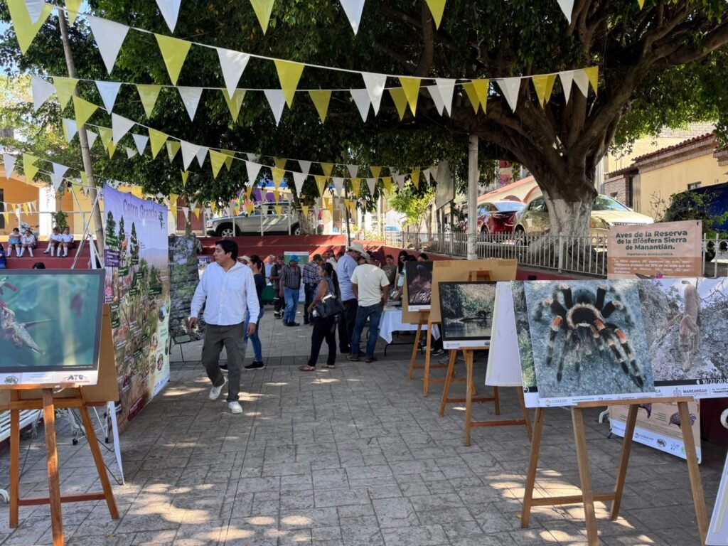 WhatsApp Image 2026-03-03 at 15.58.40