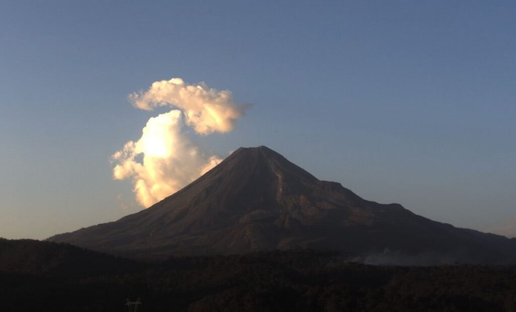 WhatsApp Image 2026-03-06 at 11.54.10