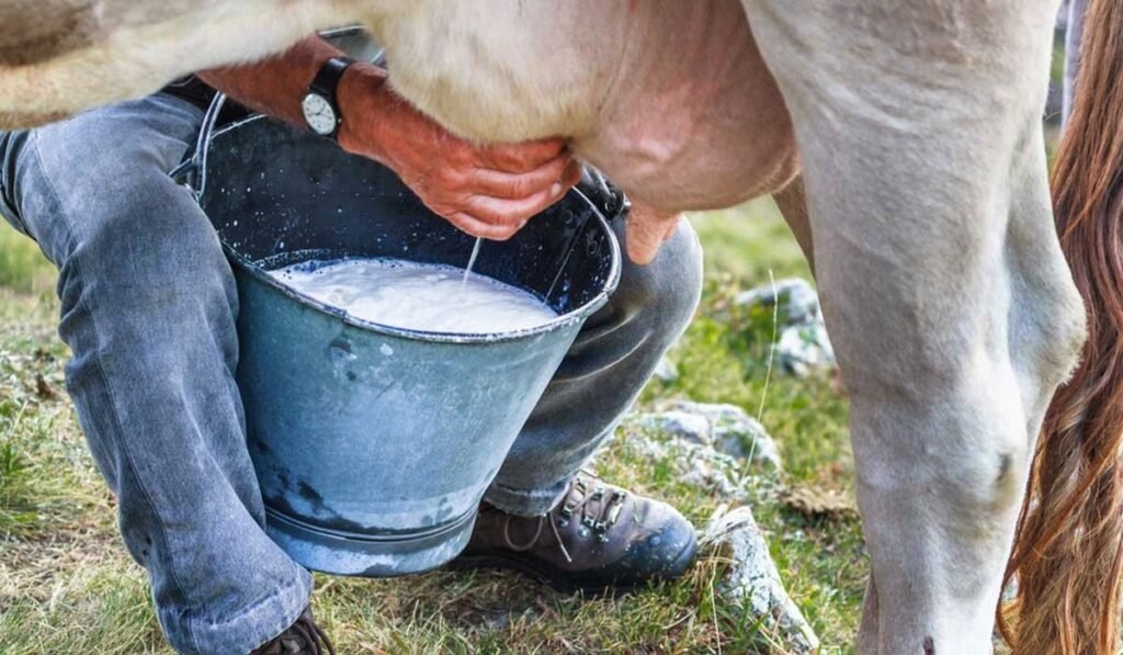 WhatsApp Image 2026-03-06 at 13.27.11