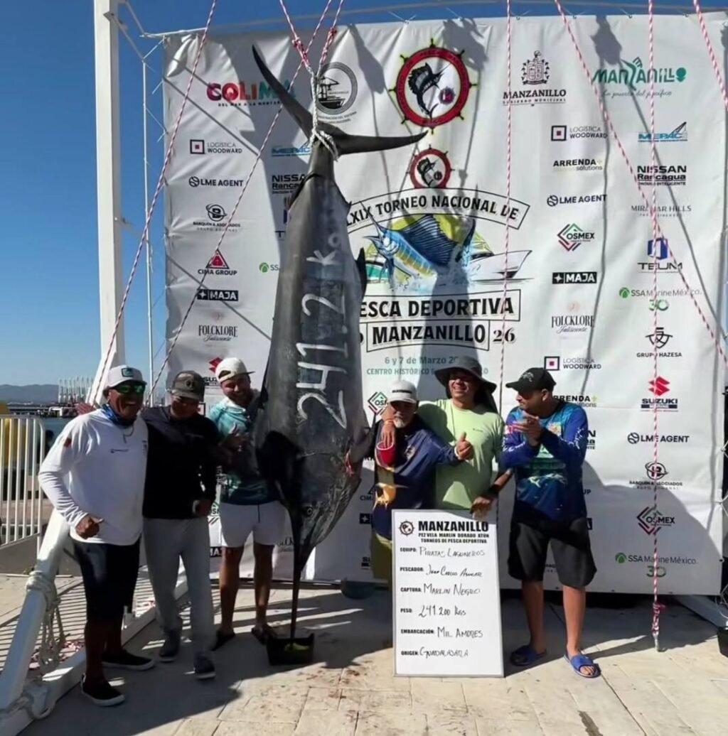 WhatsApp Image 2026-03-08 at 13.29.07