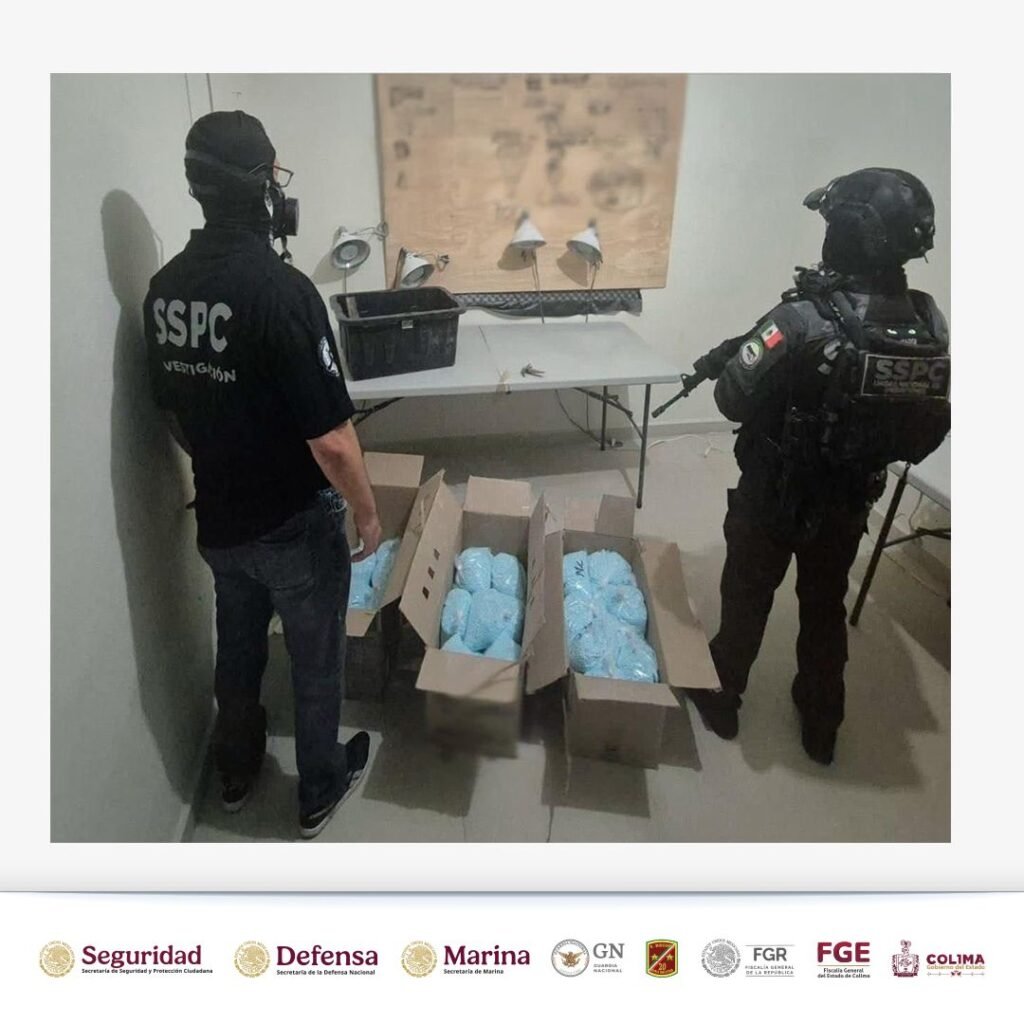 WhatsApp Image 2026-03-12 at 11.43.43