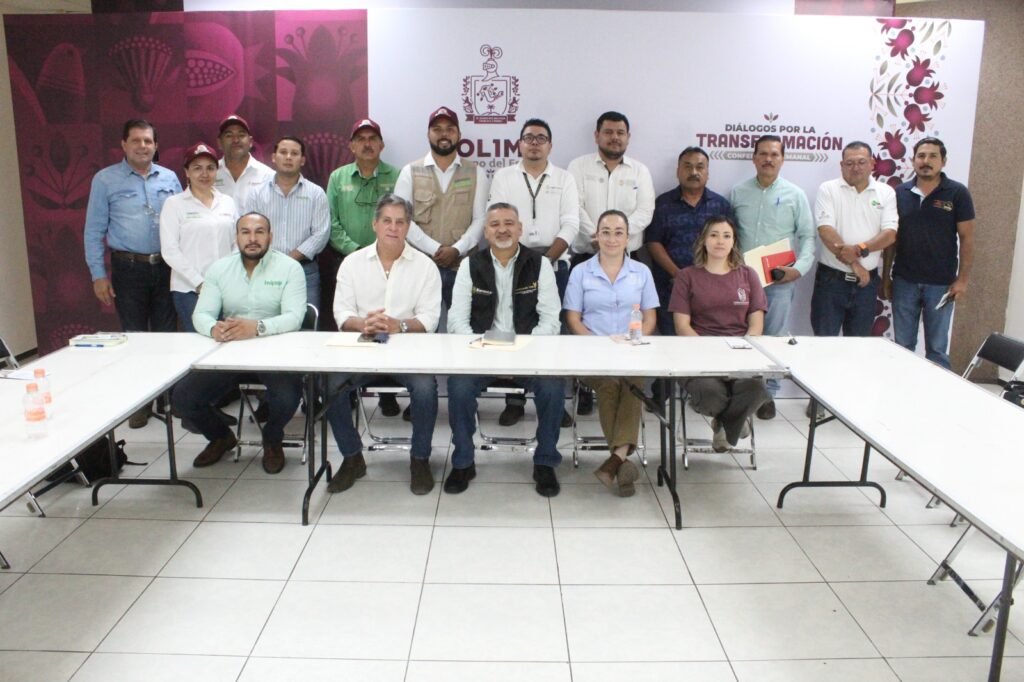 WhatsApp Image 2026-03-12 at 15.49.45