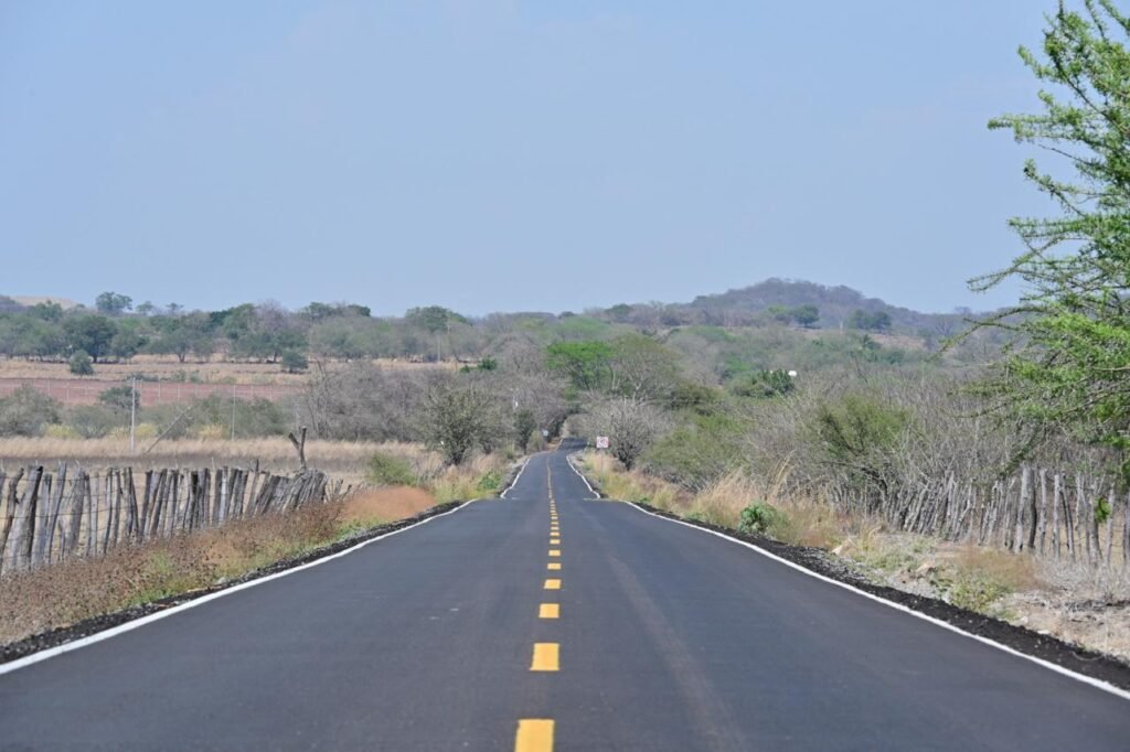 WhatsApp Image 2026-03-15 at 11.41.46