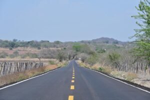 WhatsApp Image 2026-03-15 at 11.41.46