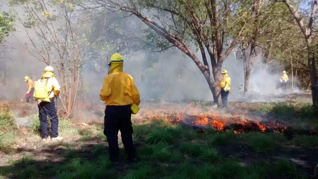 WhatsApp Image 2026-03-18 at 10.49.14