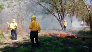 WhatsApp Image 2026-03-18 at 10.49.14