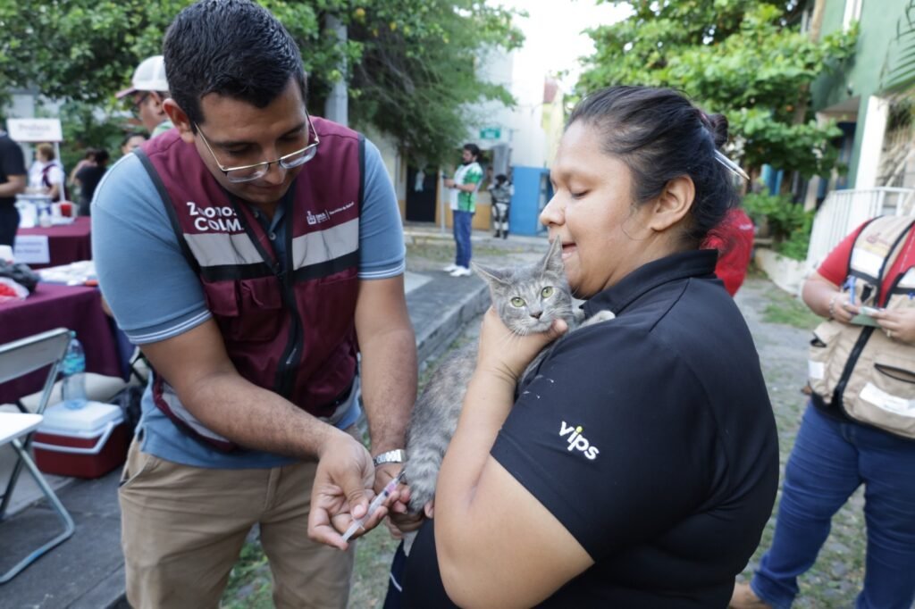 WhatsApp Image 2026-03-24 at 10.27.49