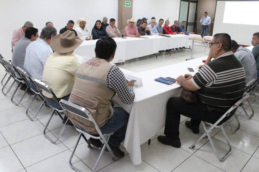 WhatsApp Image 2026-03-27 at 13.41.35