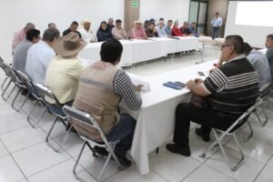 WhatsApp Image 2026-03-27 at 13.41.35