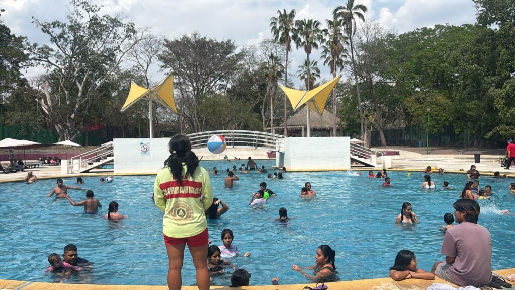 WhatsApp Image 2026-03-29 at 17.01.19