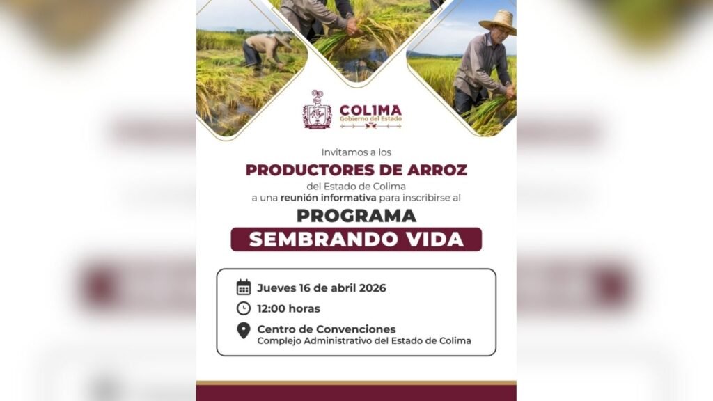 Diseño sin título (10)