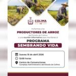 Gobierno del Estado de Colima invita a las y los productores de arroz a reunión de Sembrando Vida