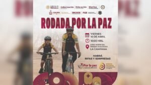 Diseño sin título (3)