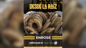 Diseño sin título (8)