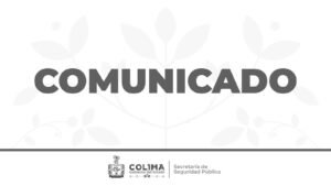 WhatsApp Image 2026-04-03 at 19.37.35