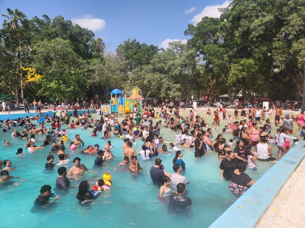 WhatsApp Image 2026-04-06 at 11.28.06