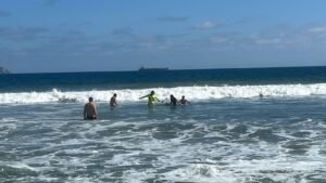 WhatsApp Image 2026-04-07 at 17.55.51 (2)