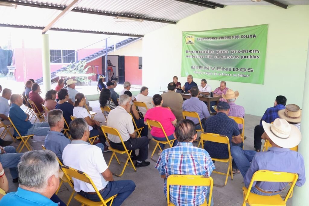 WhatsApp Image 2026-04-13 at 10.46.02