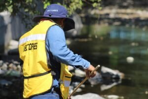 WhatsApp Image 2026-04-24 at 13.59.23