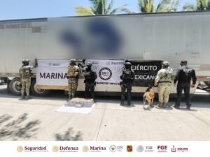 WhatsApp Image 2026-04-27 at 14.15.10