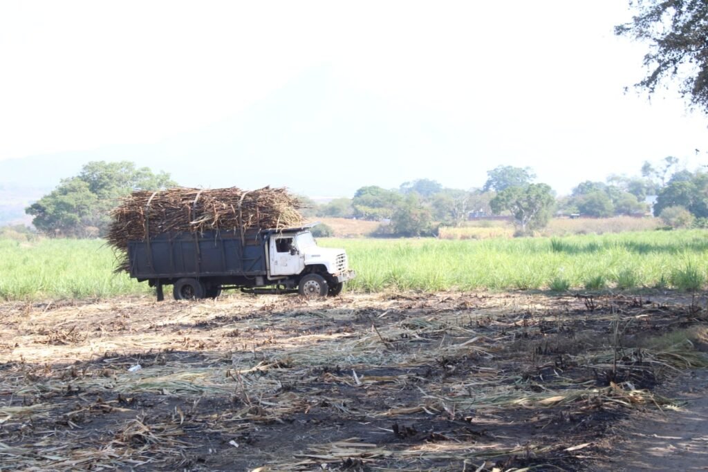 WhatsApp Image 2026-04-30 at 13.16.03