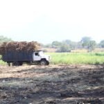 Gobierno del Estado de Colima entregó rehabilitación de caminos sacacosechas en zona rural de tres municipios