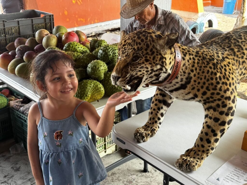 Promueve UdeC conocimiento y conservación en el Festival Tecuanillo Ambiental