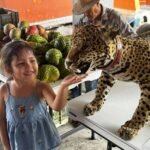 Promueve UdeC conocimiento y conservación en el Festival Tecuanillo Ambiental