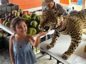 Promueve UdeC conocimiento y conservación en el Festival Tecuanillo Ambiental