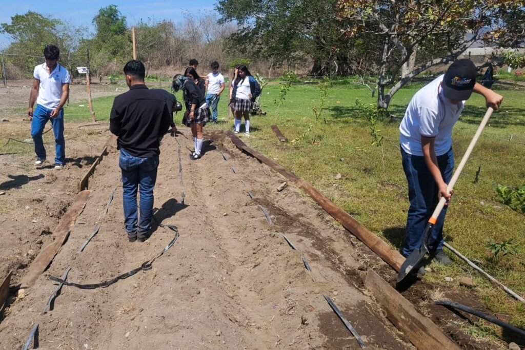 Vinculación por el medio ambiente_Proyectos de Innovación 2026_d