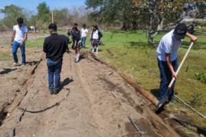 Vinculación por el medio ambiente_Proyectos de Innovación 2026_d
