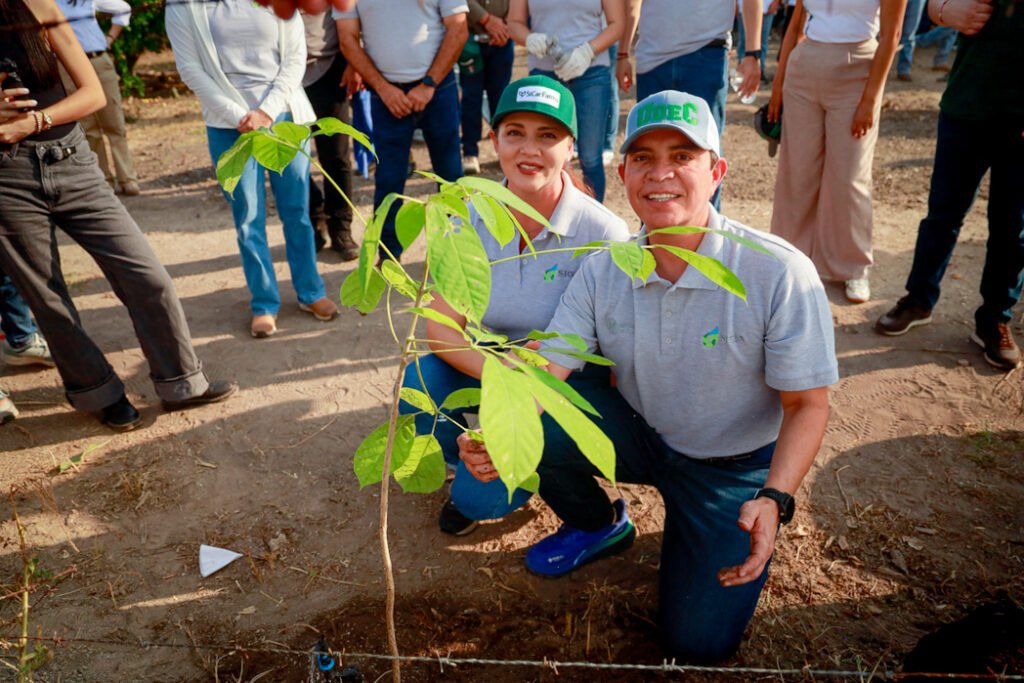Con ReforestAcción, UdeC plantará más de 12 mil árboles durante 2026_a