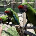Estudiantes del curso Explora 2.0 conocen acciones para proteger la biodiversidad