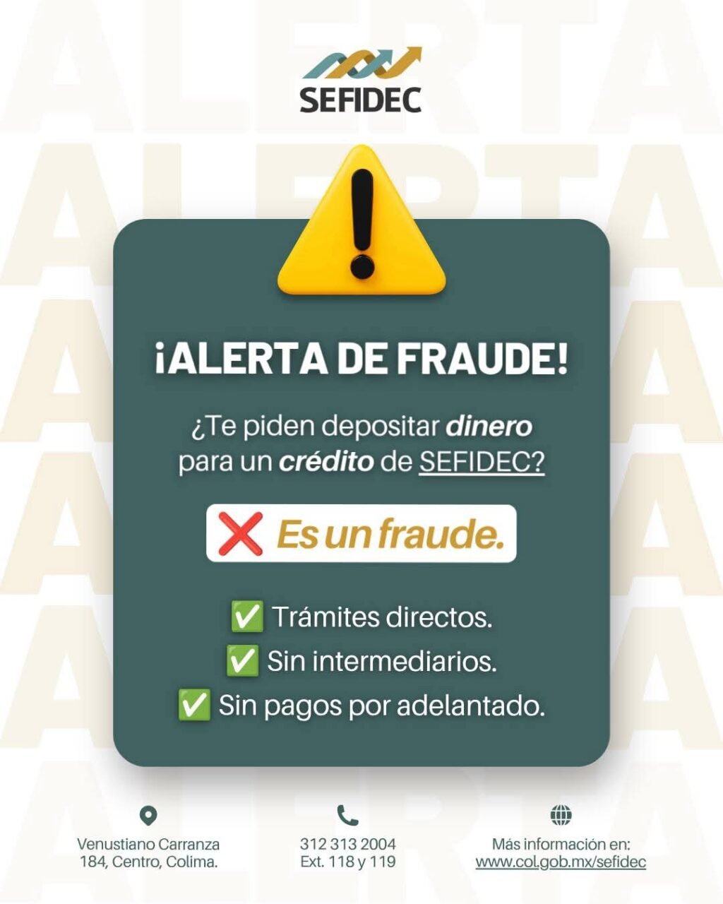 WhatsApp Image 2026-08-05 at 12.46.59